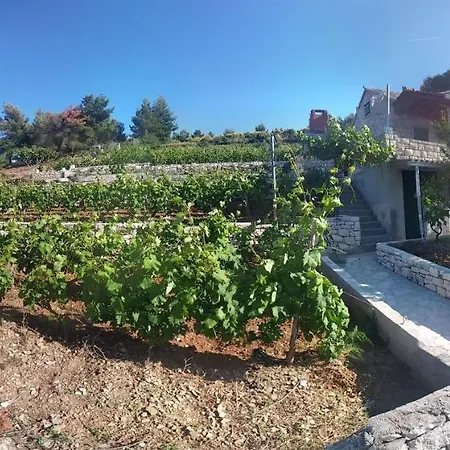 Σπίτι διακοπών House Svjetlana *